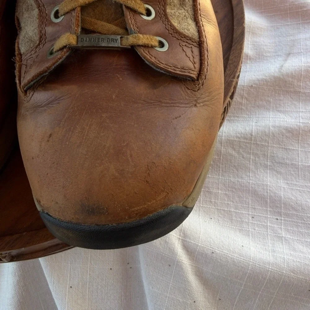 Danner Raptor 650 8